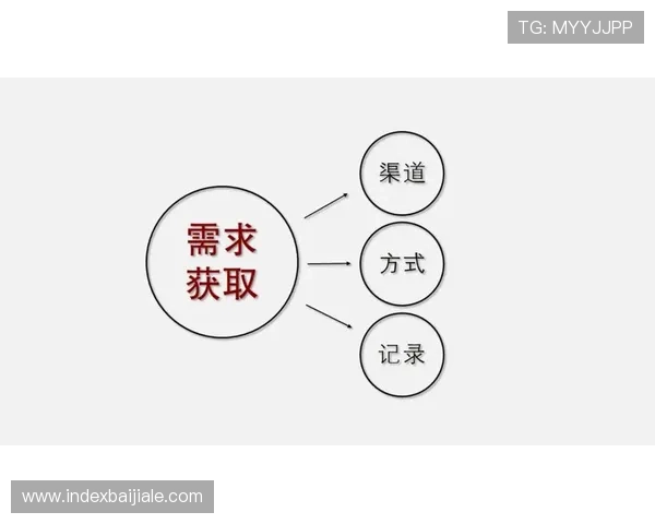 详细介绍K8电竞登陆入口多渠道获取方式满足不同用户的访问需求